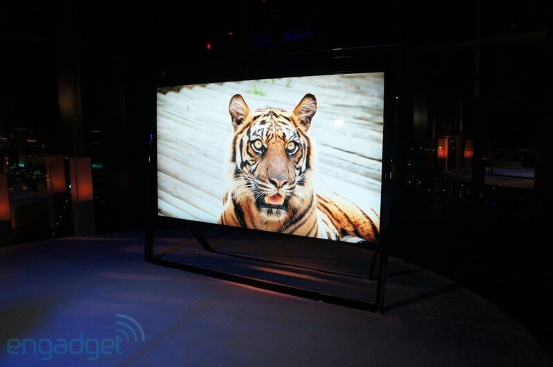 S9 Tiger