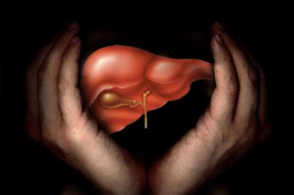 7 причин выпить чашечку кофе с утра.. 5. Кофе невероятно полезен для вашей печени.. Фото.