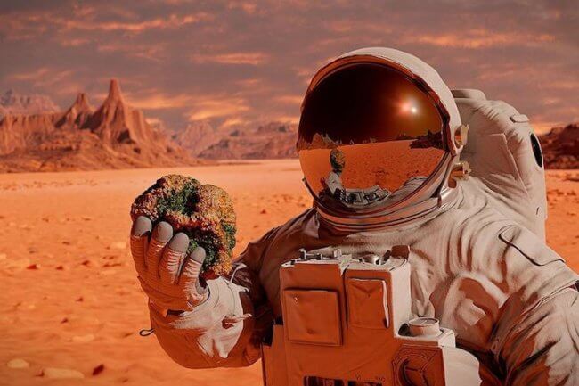 Высадку человека на Марсе превратят в реалити-шоу. Фото.