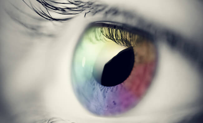 Ученые создали сетчатку глаза из полимера. Фото.