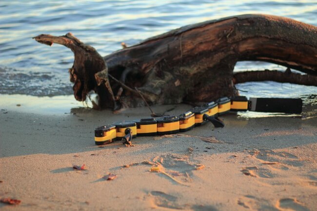 Исследователи создали новую версию робота-саламандры. Фото.