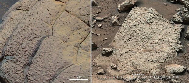Curiosity нашел весомые доказательства существования жизни на Марсе. Фото.