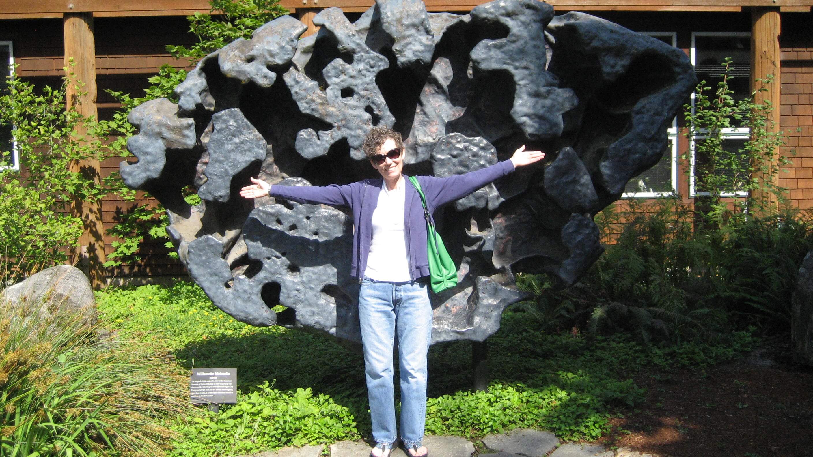 Метеорит Вильяметта