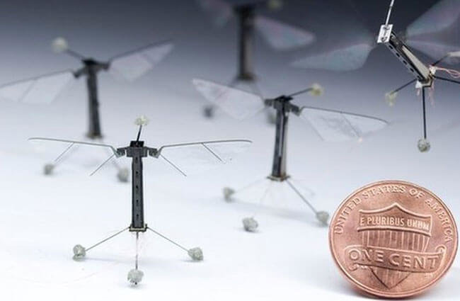 Robo-Fly — самый маленький летающий робот в мире. Фото.