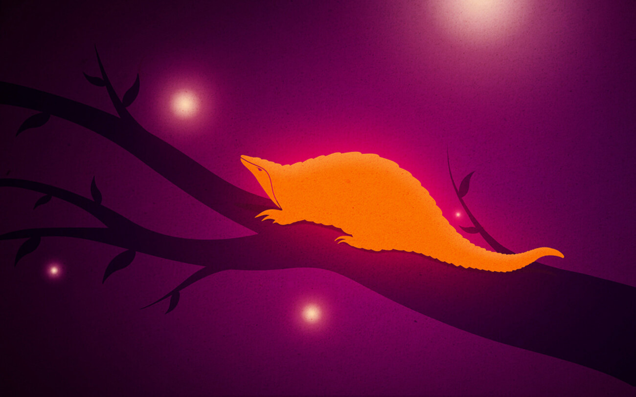 Операционные системы