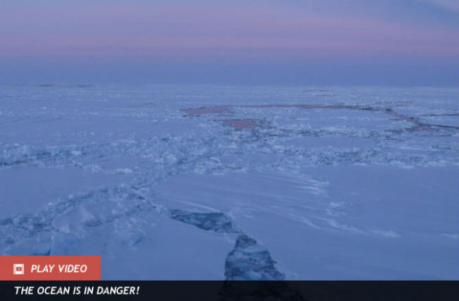 Океан в опасности: в Антарктиде разлилось подледное озеро. Фото.