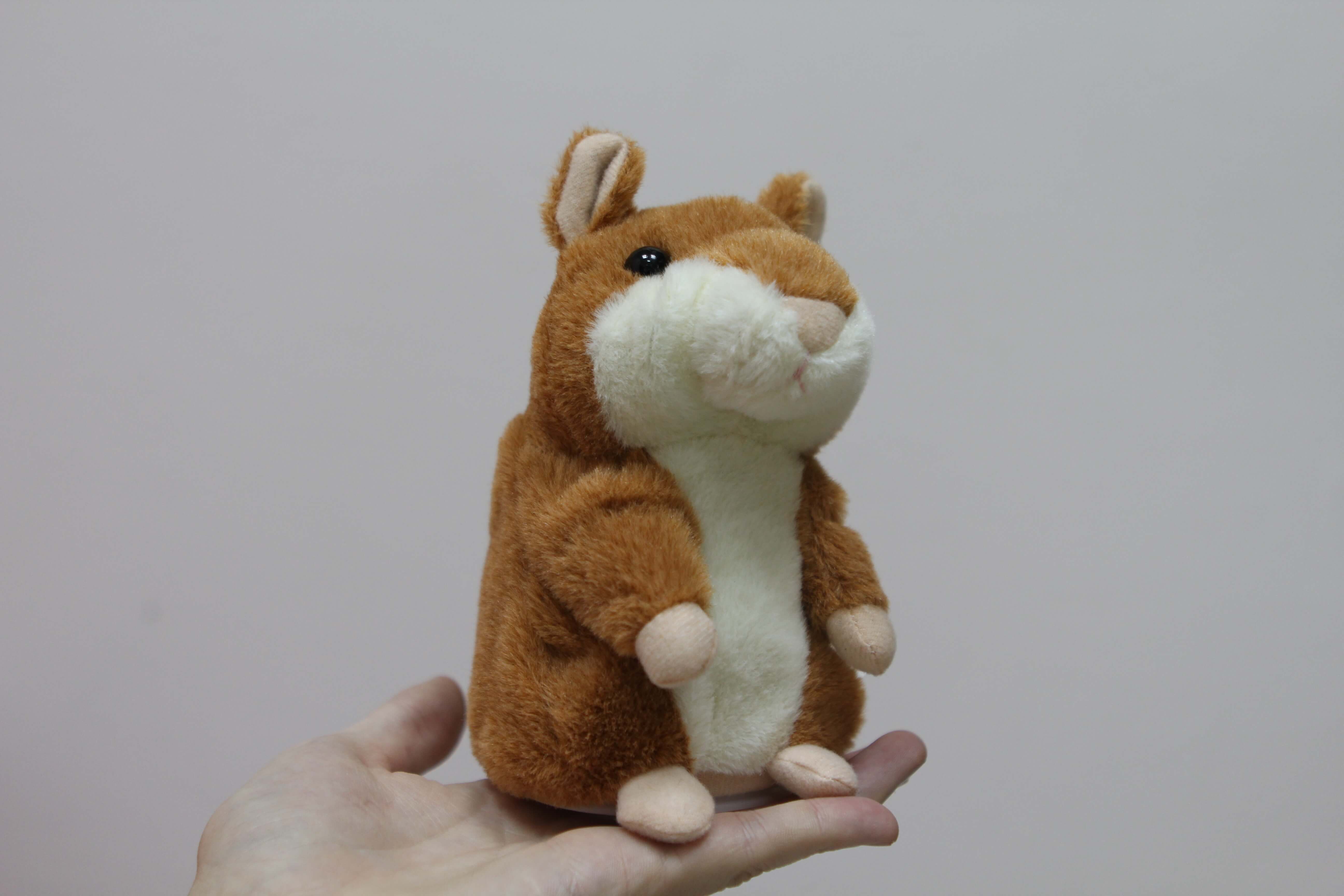 IMG_5552 Woody’o’Time