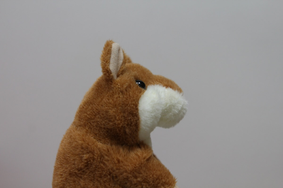 Woody’o’Time Woody’o’Time