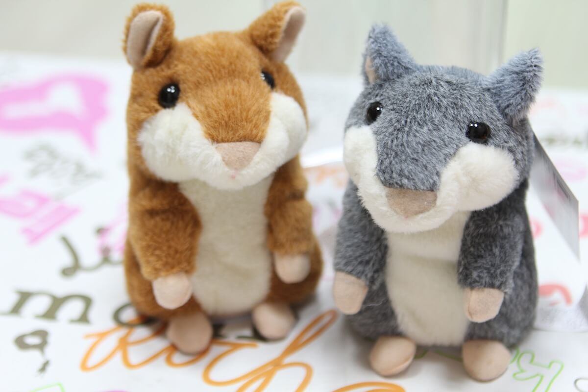 Woody’o’Time Woody’o’Time