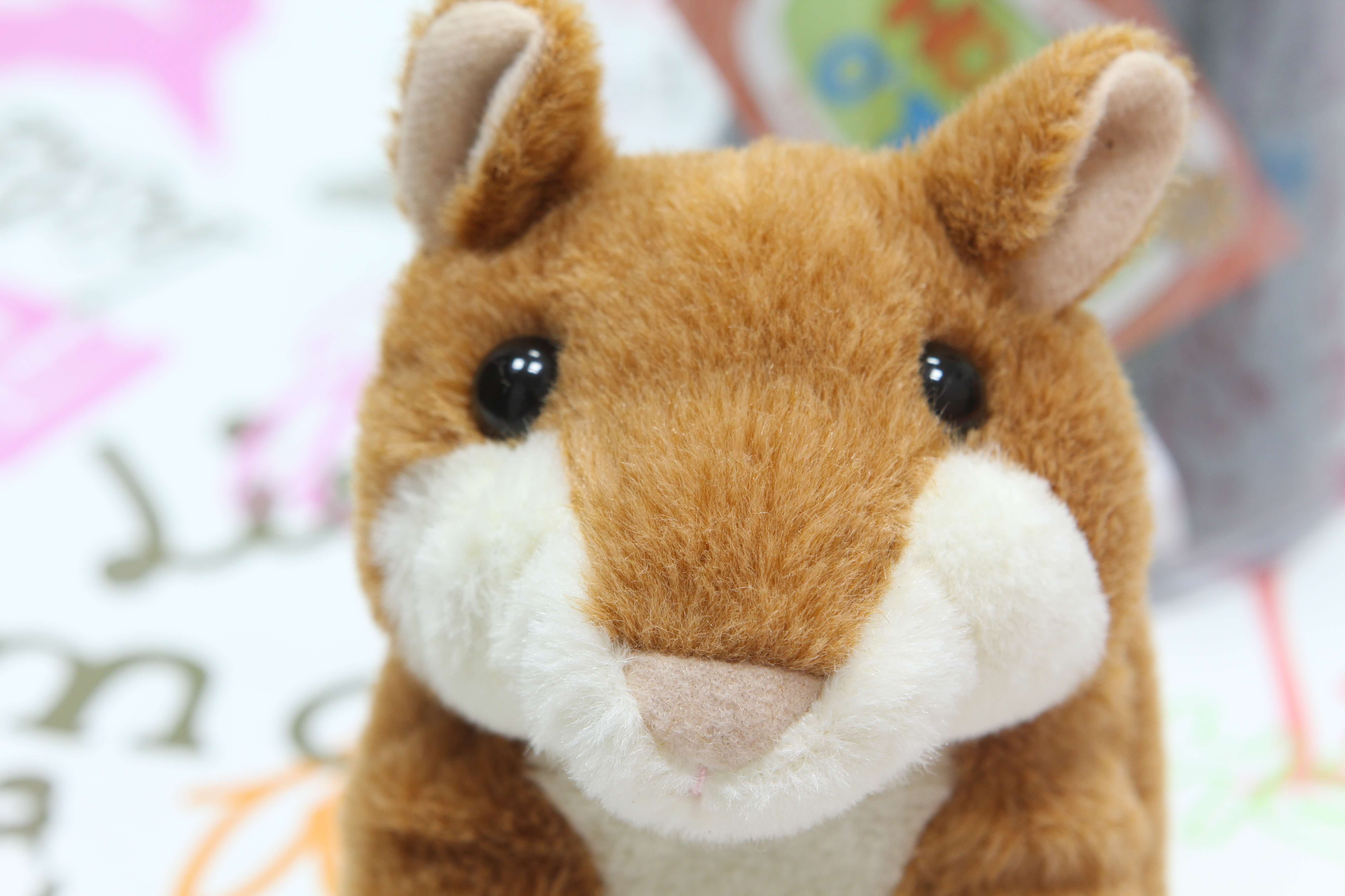 IMG_5561 Woody’o’Time