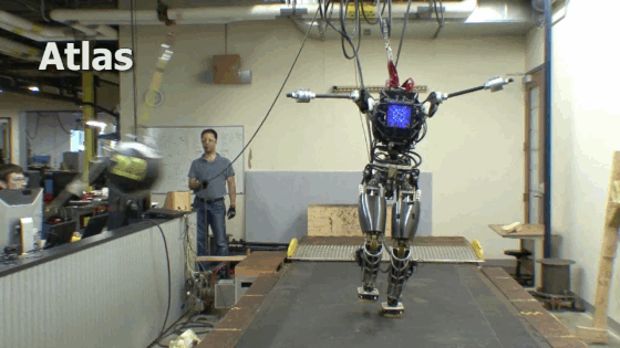 робот Atlas 