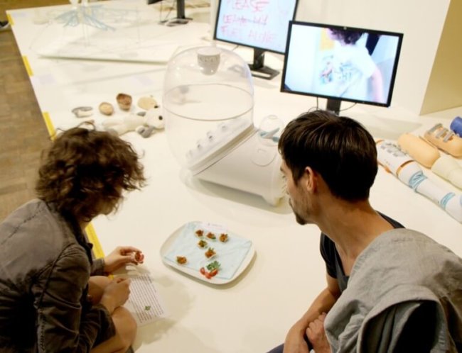 farm432-fly-breeding-appliance-1