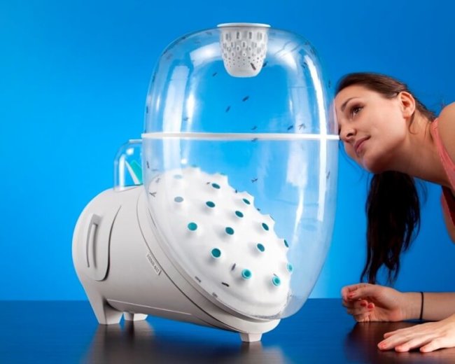 farm432-fly-breeding-appliance-4