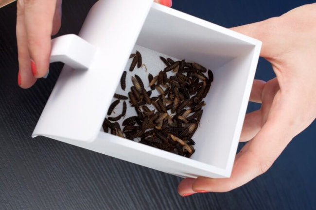 farm432-fly-breeding-appliance-5