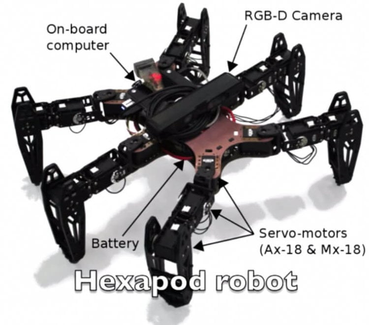 clever-hexapod-0