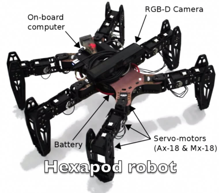 clever-hexapod-0 clever-hexapod-0