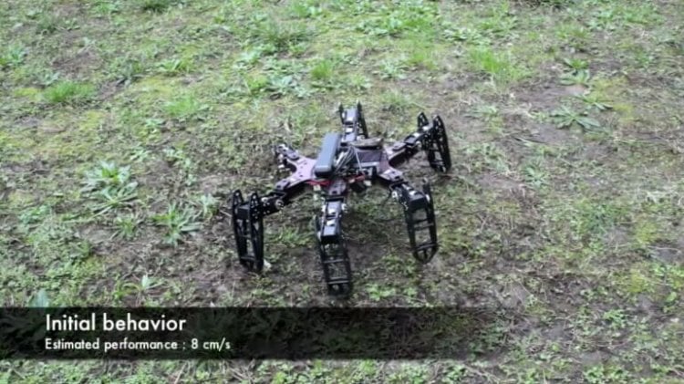 clever-hexapod-3