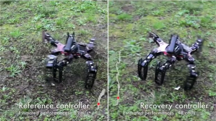 clever-hexapod-6