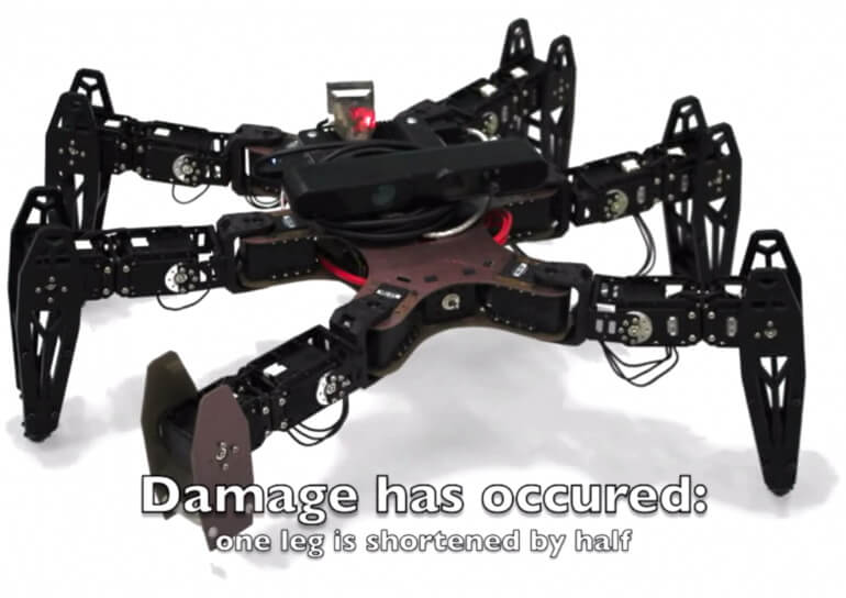 clever-hexapod clever-hexapod