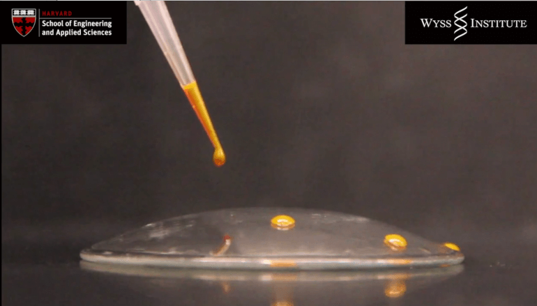 slipssuperglass slipssuperglass