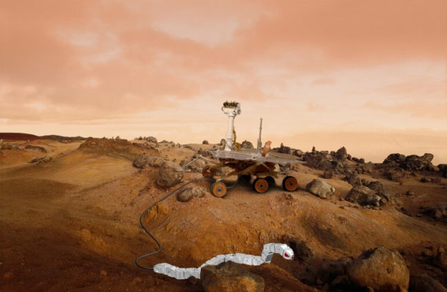 В будущем марсианские пески будут исследовать роботизированные змеи. Фото.