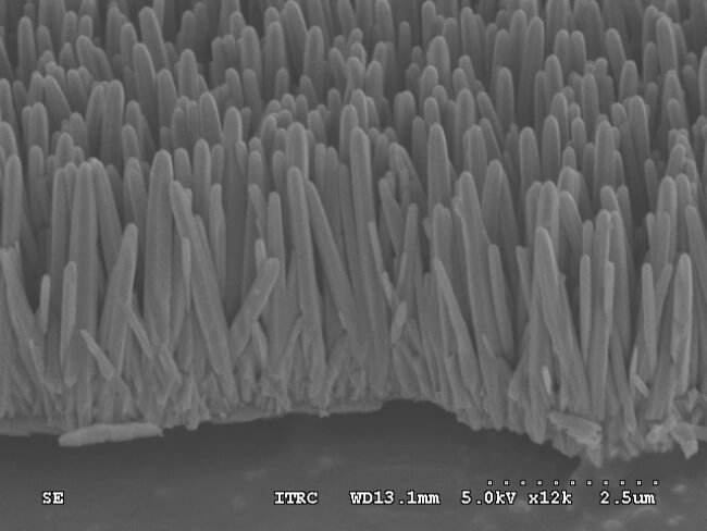 nanorods growing on the disk