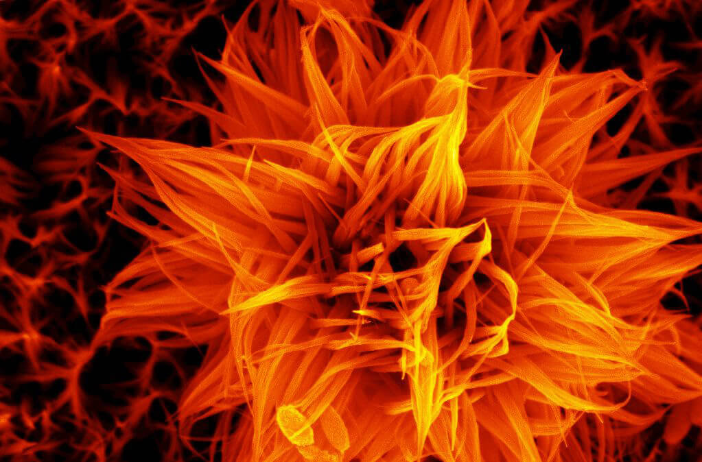 Нанотехнологии