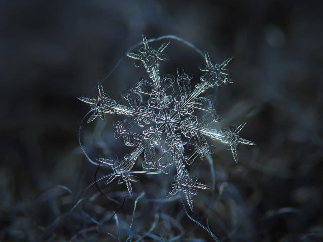 #фото дня | Удивительная фотосессия снежинок. Фото.
