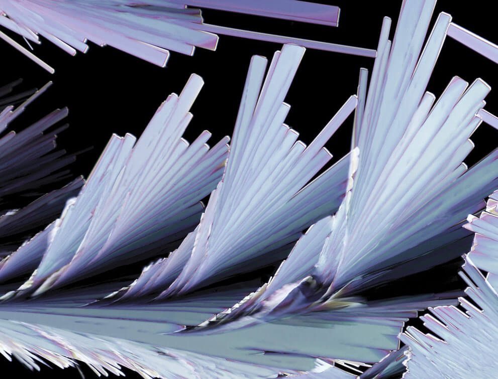 Кристальное образование сульфосалициловой кислоты, 200x увеличение.