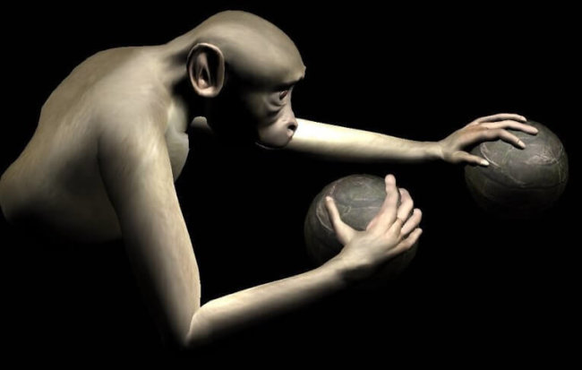 Ученые научили обезьян силой мысли управлять виртуальными руками. Фото.