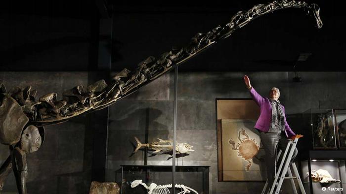 enormous Diplodocus longus skeleton