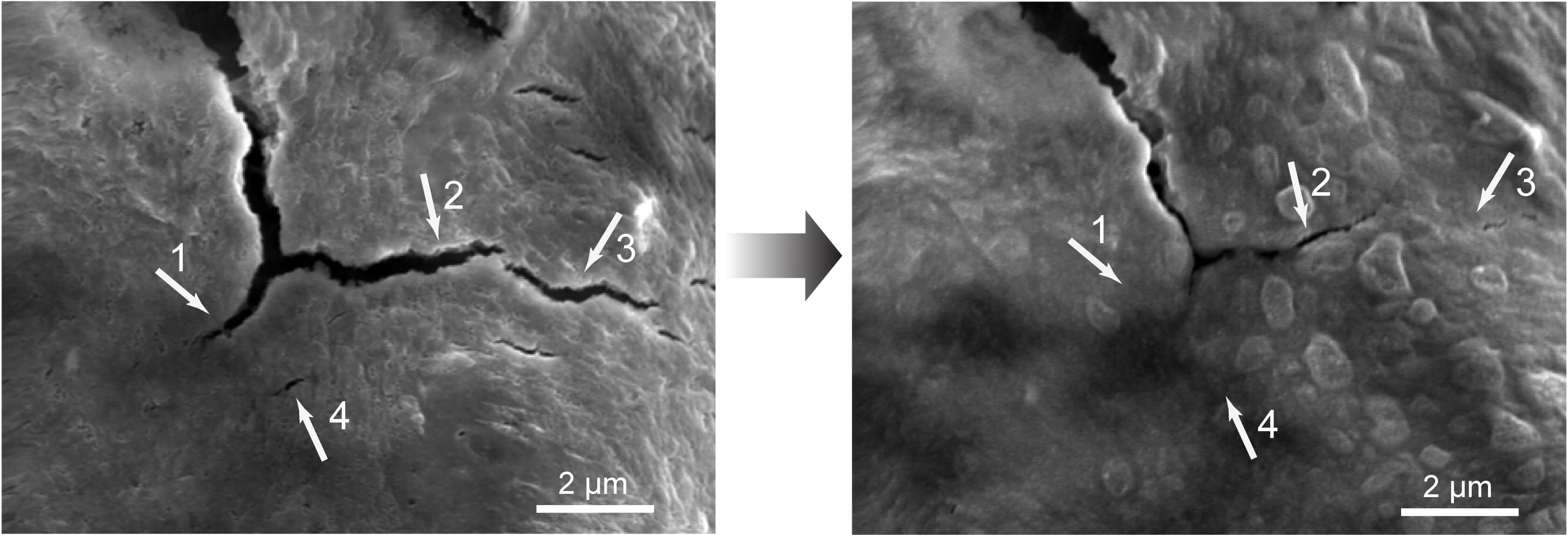 Самовосстанавливающееся полимерное покрытие