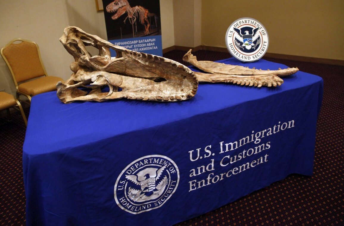 череп и некоторые другие части скелета крупного хищного динозавра