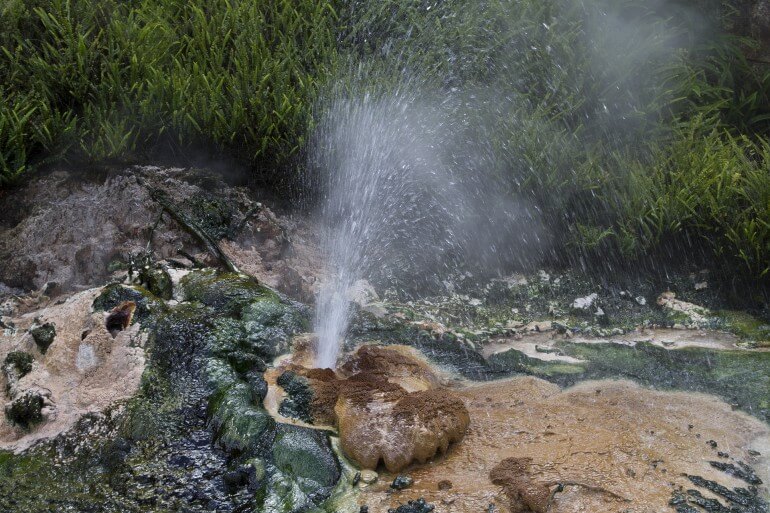 cyanobacteria-hot-spring