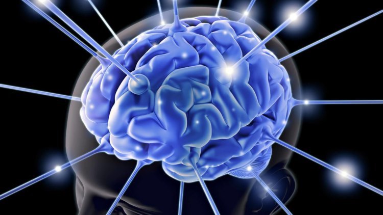 Имплантаты в мозгу лечат эпилепсию