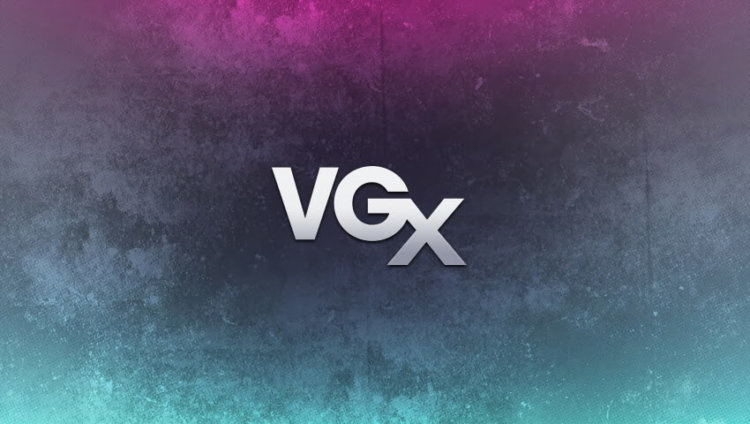 VGX 2013