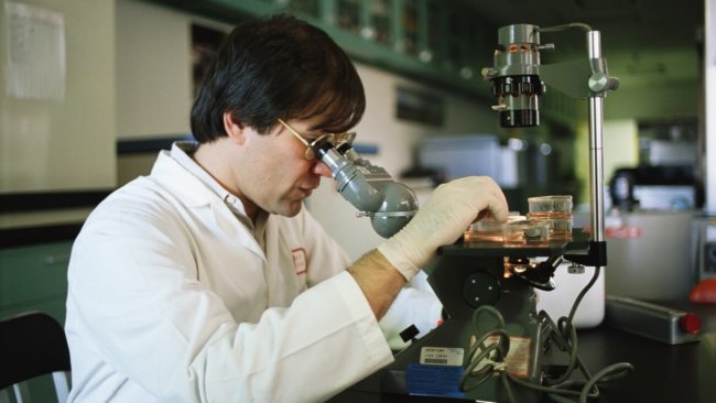 Южнокорейские ученые использовали нанороботов для лечения рака. Фото.