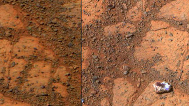 NASA скрывает жизнь на Марсе? Фото.