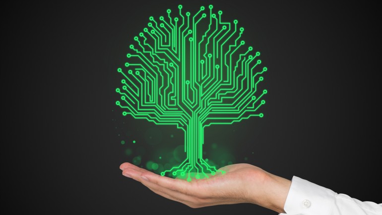 plant-biosensor plant-biosensor