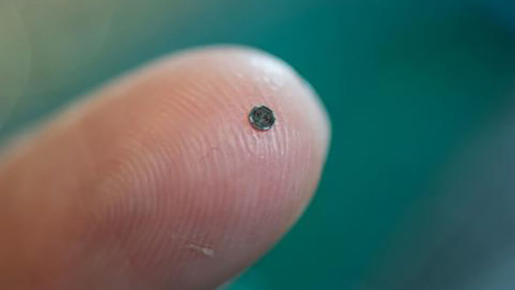 Крошечный микрочип позволит увидеть сердце изнутри