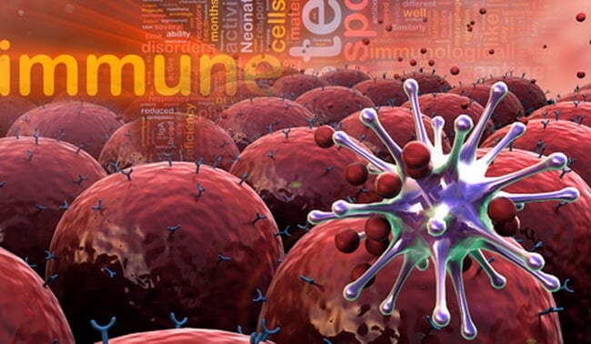 Immune-system