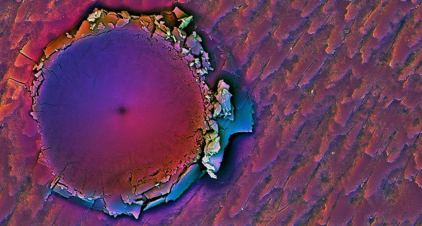 Крошечная вмятина в раковине моллюска