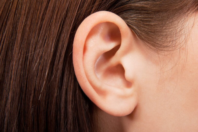 Ученые предлагают метод реконструкции ушей из жировой ткани. Фото.