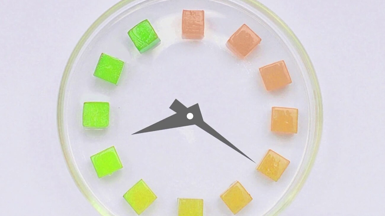 Гель-индикатор срока годности Гель-индикатор срока годности