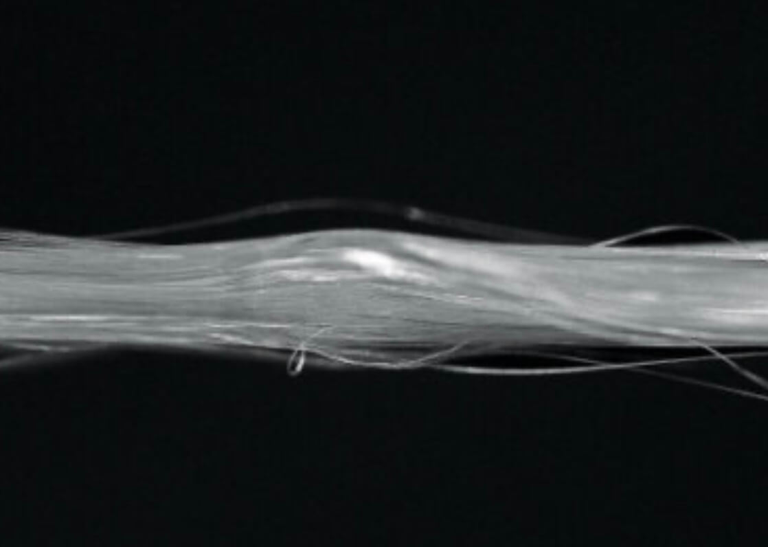 Паучий шелк. Фото.