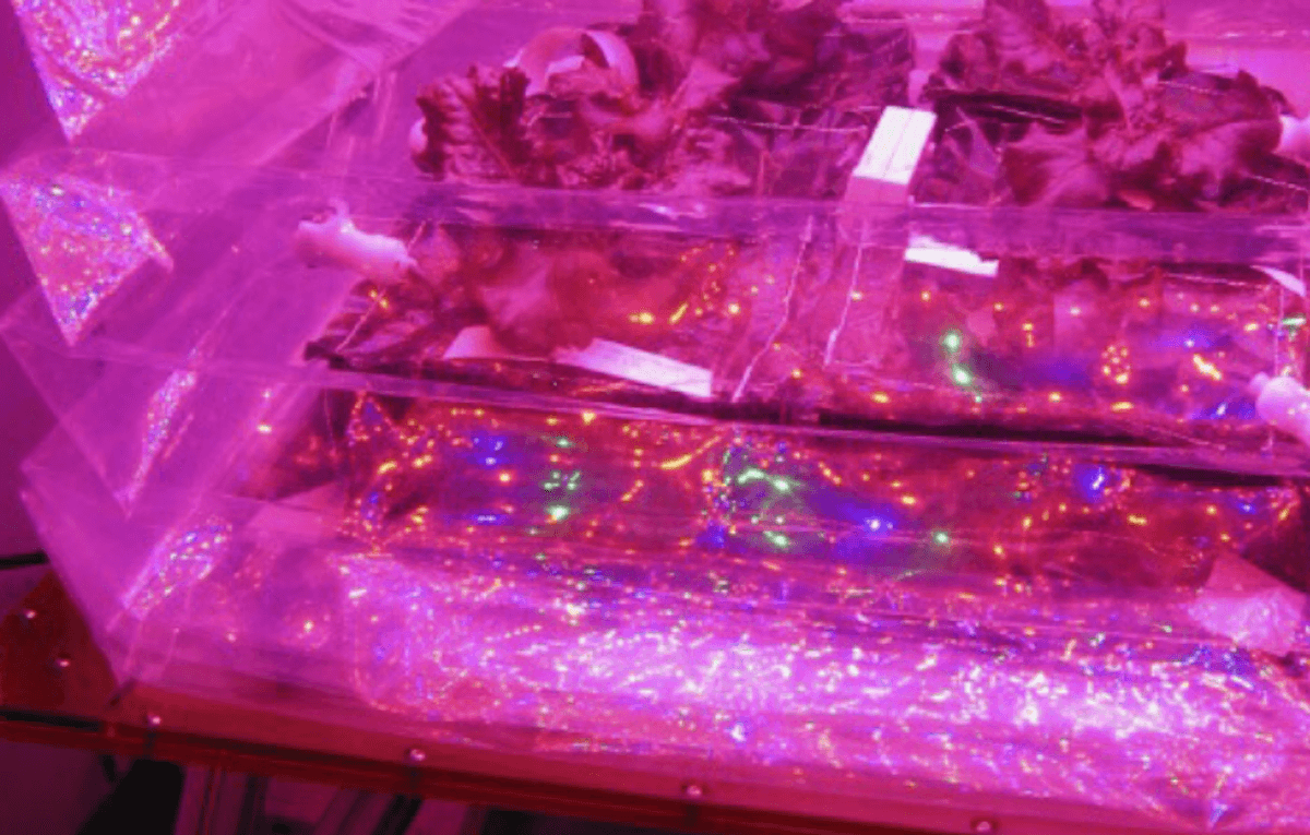 Это будет революция в космонавтике. Фото.