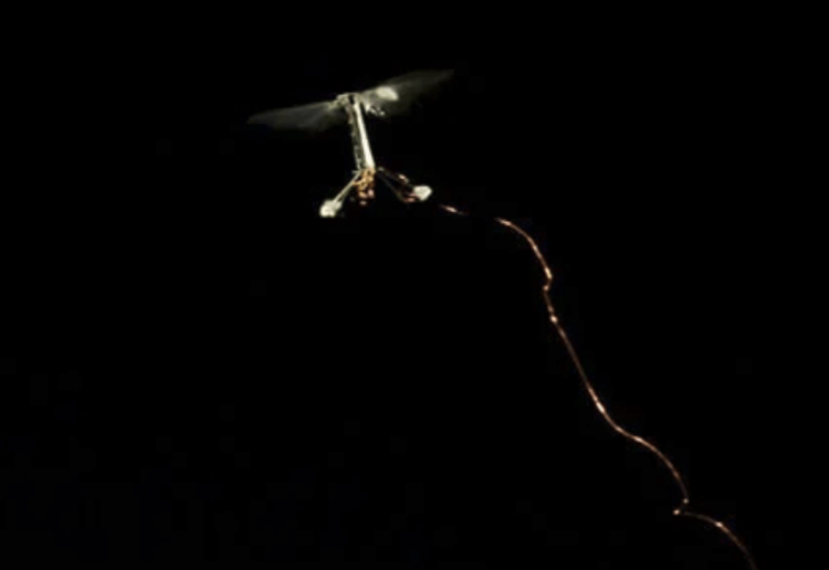 3. RoboBee (Гарвардский университет). RoboBee. Фото.
