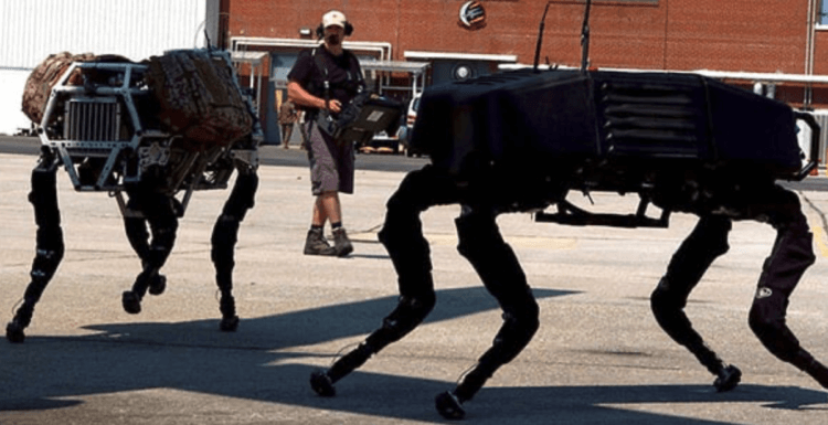 8. BigDog (Boston Dynamics). BigDog. Фото.