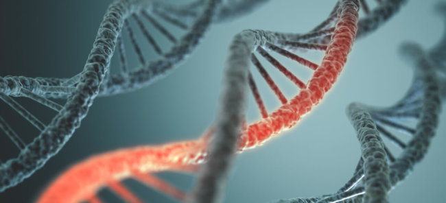 Ученые создали ДНК «чужого». Фото.