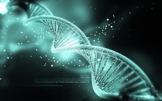 Ученые могут определить по ДНК географическое место происхождения ваших предков. Фото.